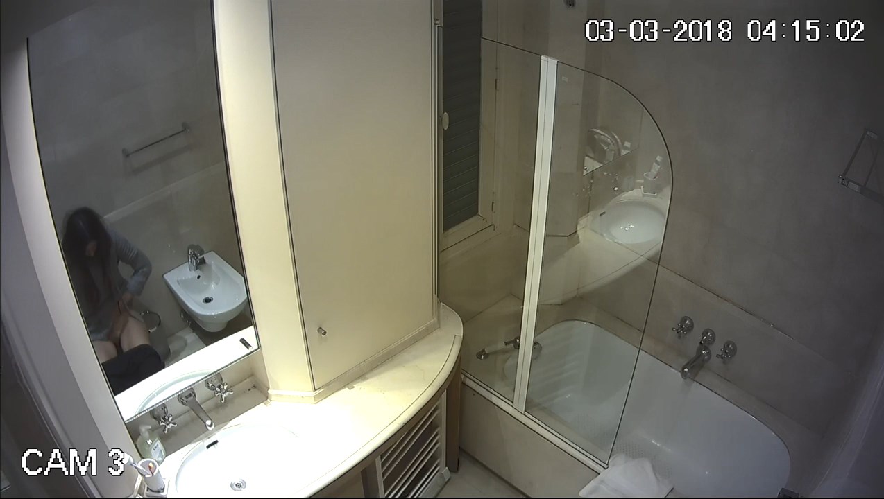 Hotel (toilet + bathroom) 12